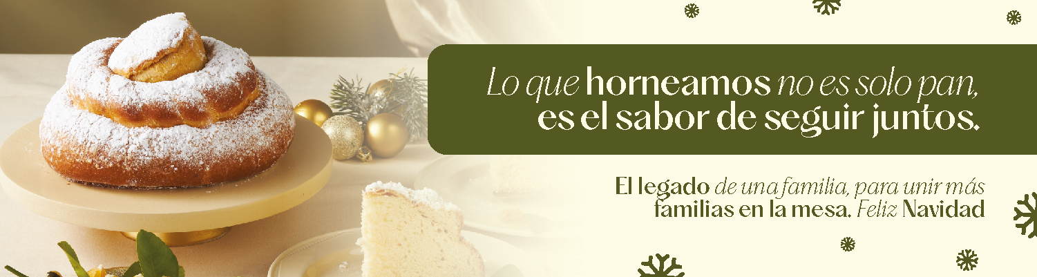 Navidad 2025 banner 1 